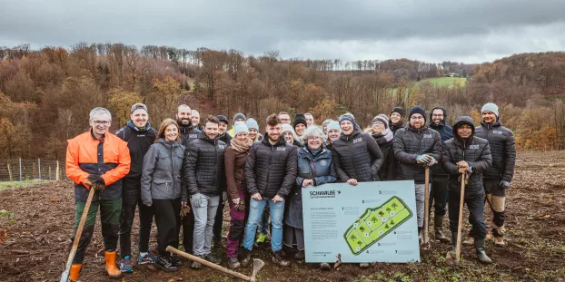 Schwalbe startet Aufforstungsprojekt