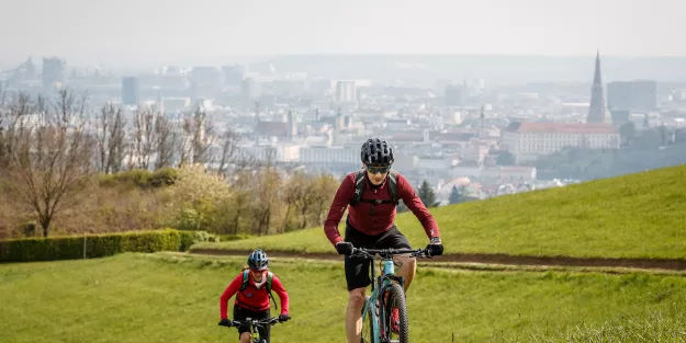 Guided MTB Tour in Linz