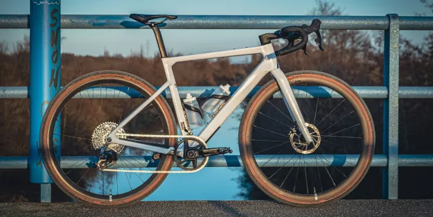 Rose Backroad FF 2024