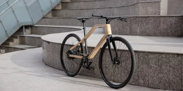 Diodra S3 Bambus E-Bike