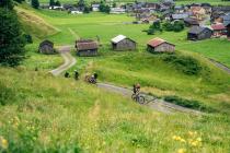 Vorschau: Into the wold 2024 - das etwas andere Gravel-Event 