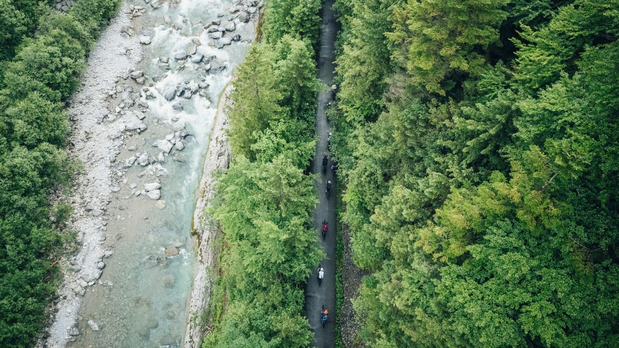 Vorschau: Into the wold 2024 - das etwas andere Gravel-Event 