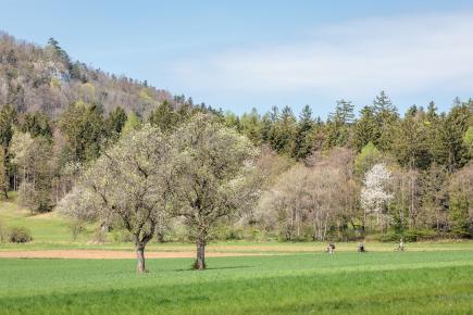 Mr. EIT E-MTB Community Ride April 2024