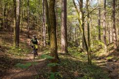 Mr. EIT E-MTB Community Ride April 2024