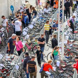 Argus Bike Festival 2024 - Bildbericht