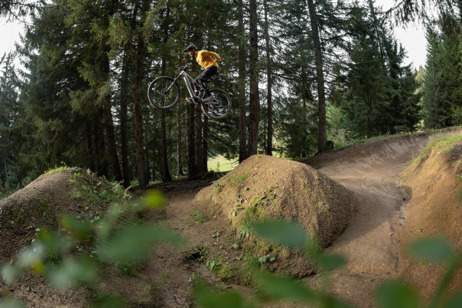 Flyer Uproc SL:X E-MTB Light 2024