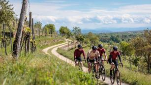 RENNRADFAHREN UND GRAVELBIKEN IM KAMPTALZwei Tage im Grenzgebiet zwischen Wald- und Weinviertel mit Kies, Kultur und Kulinarik sowie Teer, Trauben und Trek. Zu Besuch im Loisium Langenlois, wo mit der Bikewelt ein neues Highlight für Gäste und Einheimische geschaffen wurde.