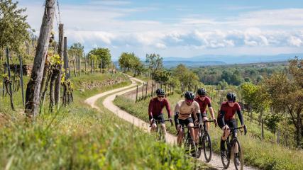 RENNRADFAHREN UND GRAVELBIKEN IM KAMPTALZwei Tage im Grenzgebiet zwischen Wald- und Weinviertel mit Kies, Kultur und Kulinarik sowie Teer, Trauben und Trek. Zu Besuch im Loisium Langenlois, wo mit der Bikewelt ein neues Highlight für Gäste und Einheimische geschaffen wurde.