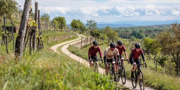 Rennradfahren und Gravelbiken im Kamptal