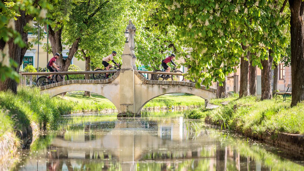 Rennradfahren und Gravelbiken im Kamptal