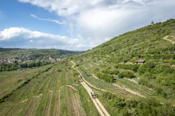 Rennradfahren und Gravelbiken im Kamptal