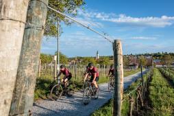 Rennradfahren und Gravelbiken im Kamptal