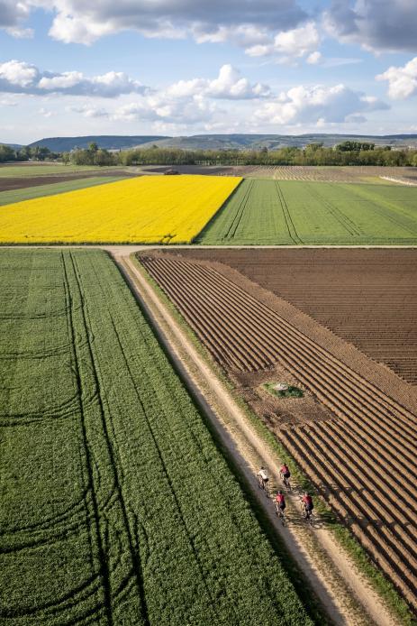 Rennradfahren und Gravelbiken im Kamptal