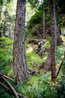 Bikepark Lienz öffnet