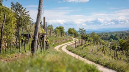 GRAVELBIKE TOUR: SCHÖNBERG RUNDE 02POV: Erlebe die schönsten Bikeboard Teststrecken und Rides aus Perspektive des Redakteurs. Zum Nachahmen empfohlen. #2rcformatc