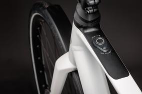 Rose Sneak Plus EQ im Test