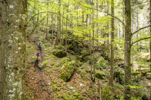 Umfrage: Biken im Salzkammergut