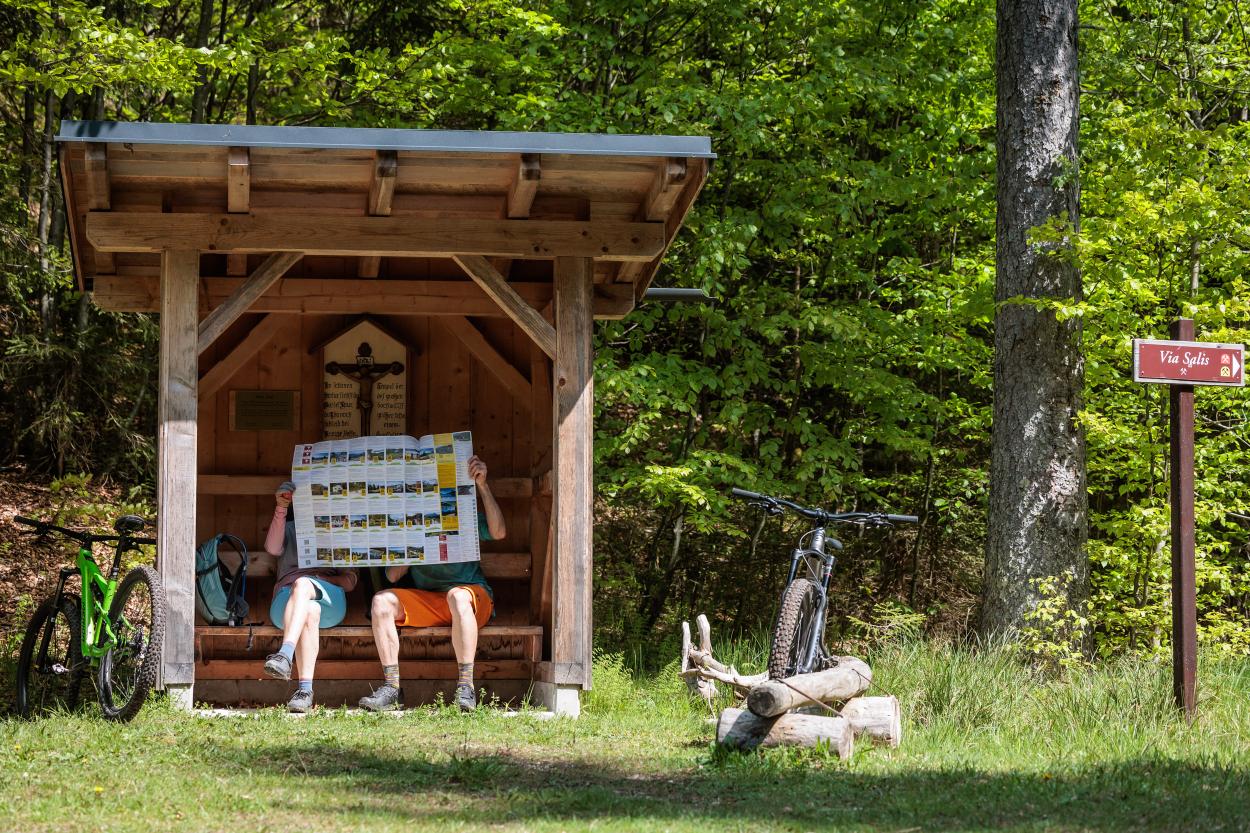 Umfrage: Biken im Salzkammergut
