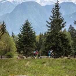 Umfrage: Biken im Salzkammergut