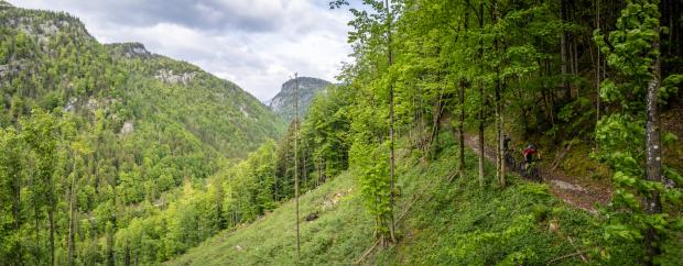 Umfrage: Biken im Salzkammergut