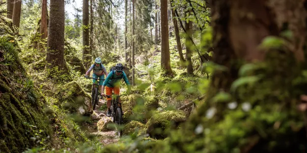 Umfrage: Biken im Salzkammergut