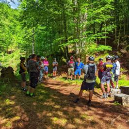 Umfrage: Biken im Salzkammergut