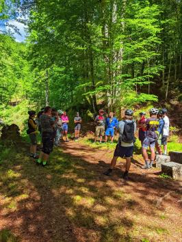 Umfrage: Biken im Salzkammergut