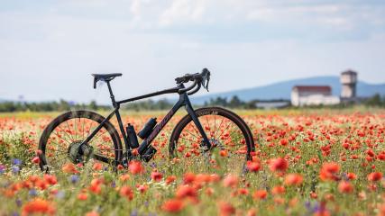 DT SWISS GRC 50, GRC 30 & HGC 30 GRAVEL LAUFRÄDERWas darf's sein - bessere Aerodynamik, niedrigeres Gewicht mit fluffigem Komfort oder maximale Haltbarkeit? Maßgeschneiderte Gravel-Carbon-Laufräder für Race-, Adventure- und E-Gravelbikes im Test.