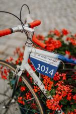 In Velo Veritas Bildbericht 2024