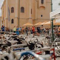 In Velo Veritas Bildbericht 2024