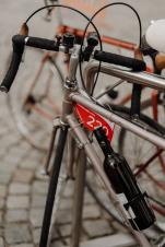 In Velo Veritas Bildbericht 2024