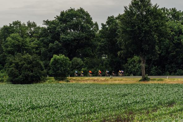 In Velo Veritas Bildbericht 2024