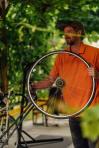 In Velo Veritas Bildbericht 2024