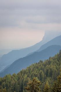 Trail-Biken im Vinschgau