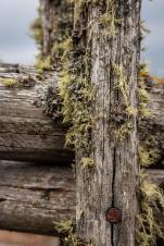 Trail-Biken im Vinschgau