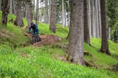Shimano GE900 im Test