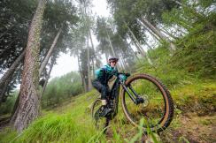 Shimano GE900 im Test