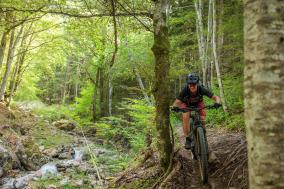 Shimano GE900 im Test