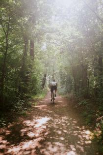 Rose Backroad FF 2024