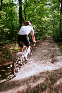 Rose Backroad FF 2024