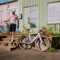 Rose Backroad FF 2024