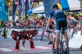 Countdown läuft: Salzkammergut Trophy 2024