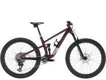 9.9 XX, € 11.499,-