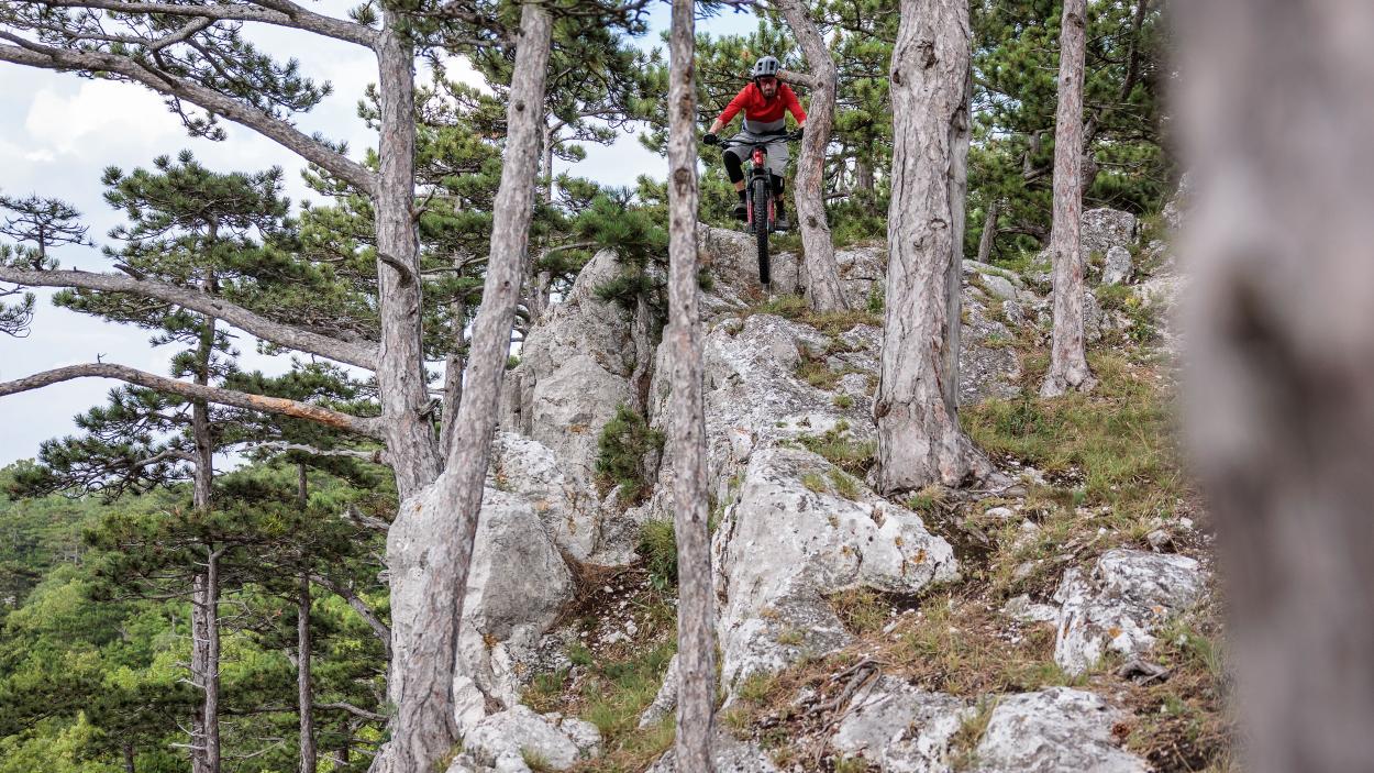 BH iLYNX+ SL Enduro Carbon 9.5 im Test