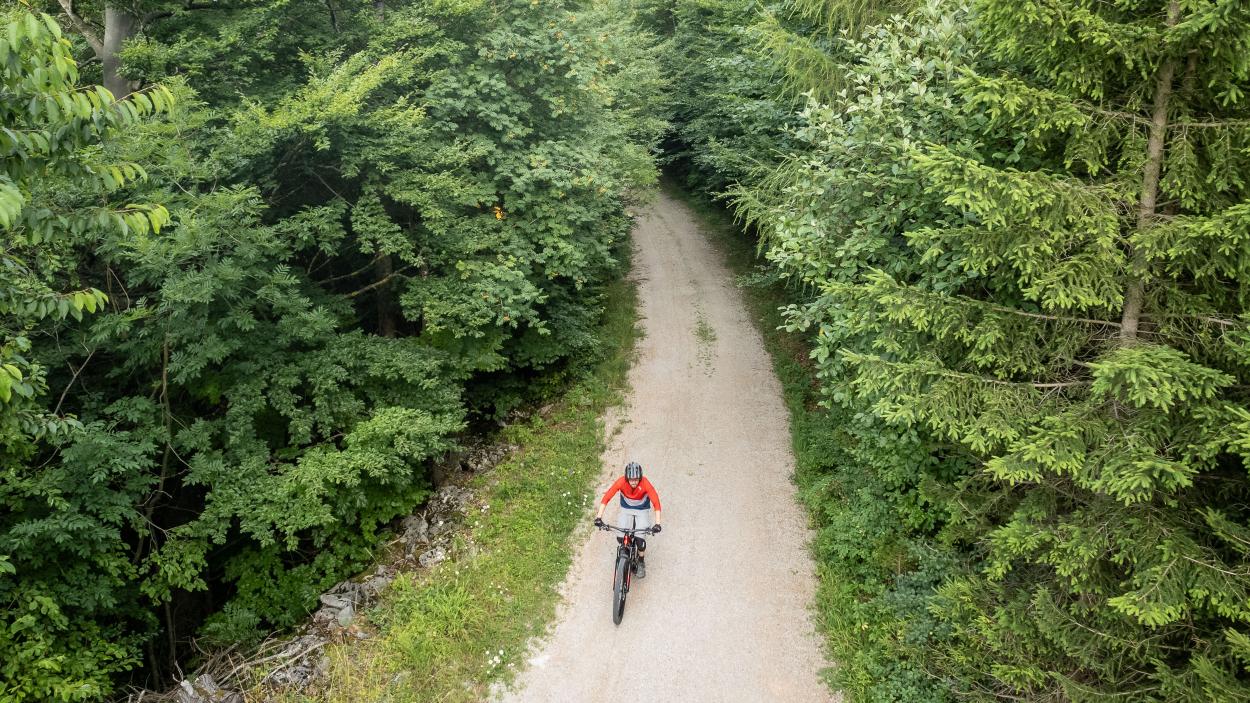 BH iLYNX+ SL Enduro Carbon 9.5 im Test
