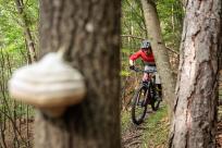 BH iLYNX+ SL Enduro Carbon 9.5 im Test