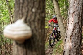 BH iLYNX+ SL Enduro Carbon 9.5 im Test