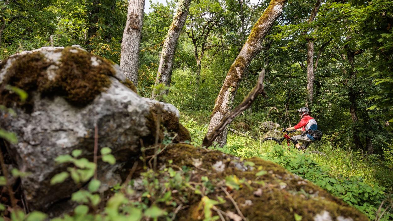 BH iLYNX+ SL Enduro Carbon 9.5 im Test