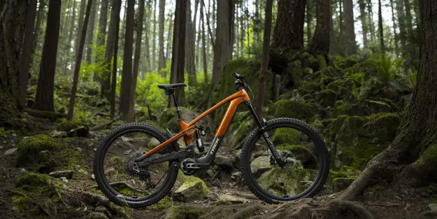 Trek Slash+