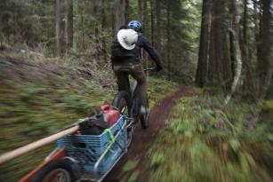 Shimano Trail Born Fonds